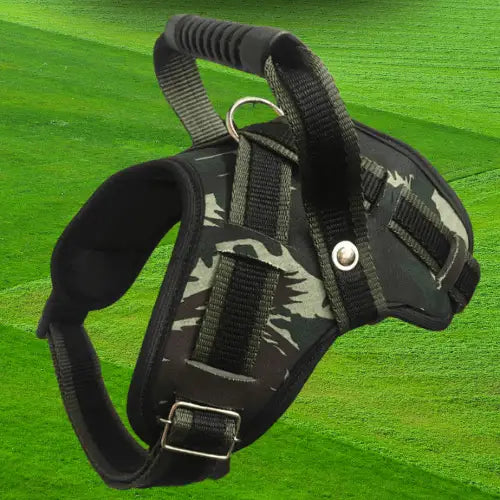 Coleira Reforçada para Cachorro Grande Estilo e Segurança | Caprioli Shop Acessórios Pets CAMUFLADO / PP