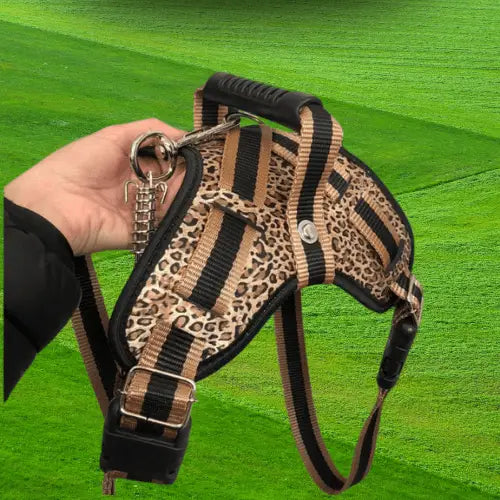 Coleira Reforçada para Cachorro Grande Estilo e Segurança | Caprioli Shop Acessórios Pets ONCINHA / PP