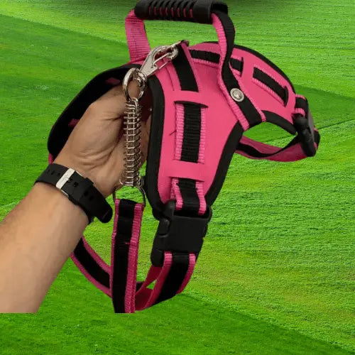 Coleira Reforçada para Cachorro Grande Estilo e Segurança | Caprioli Shop Acessórios Pets ROSA / PP