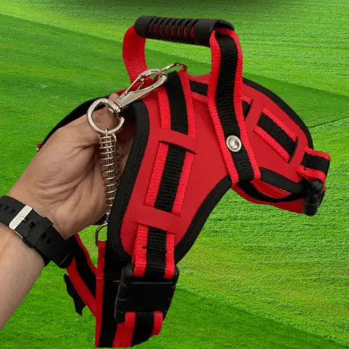 Coleira Reforçada para Cachorro Grande Estilo e Segurança | Caprioli Shop Acessórios Pets VERMELHO / PP