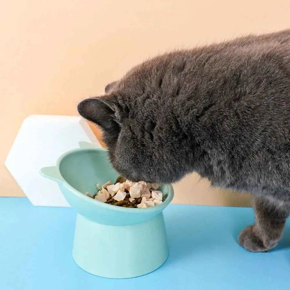 Comedouro Elevado Anti Engasgo Ergonômico para Pets | Caprioli Shop e Bebedouro