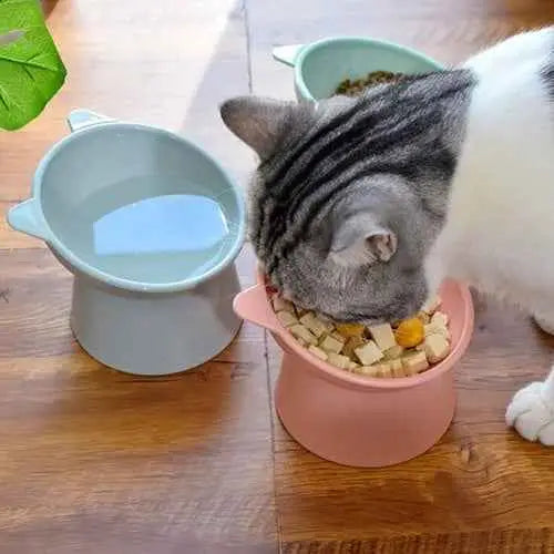 Comedouro Elevado Anti Engasgo Ergonômico para Pets | Caprioli Shop e Bebedouro