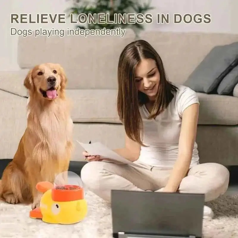 Comedouro Interativo para Cães Estímulo e Diversão | Caprioli Inter comedouro cachorro