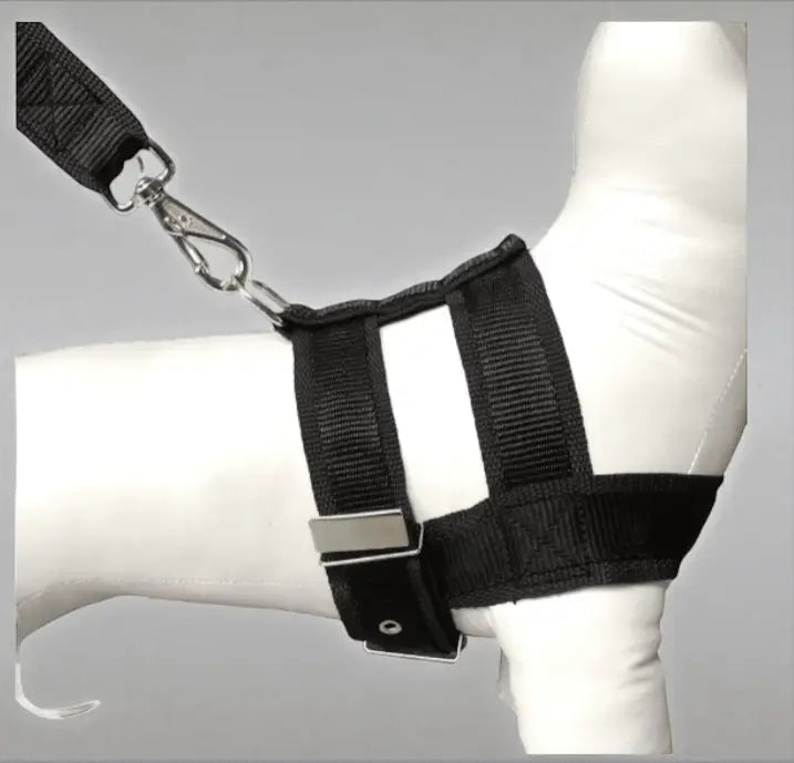 Conjunto Peitoral com Guia de Nylon Duplo Resistente para Cães Grandes | Caprioli Shop Acessórios Pets Preto / 5