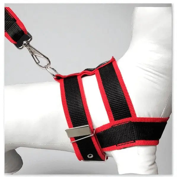 Conjunto Peitoral com Guia de Nylon Duplo Resistente para Cães Grandes | Caprioli Shop Acessórios Pets Vermelho / 5