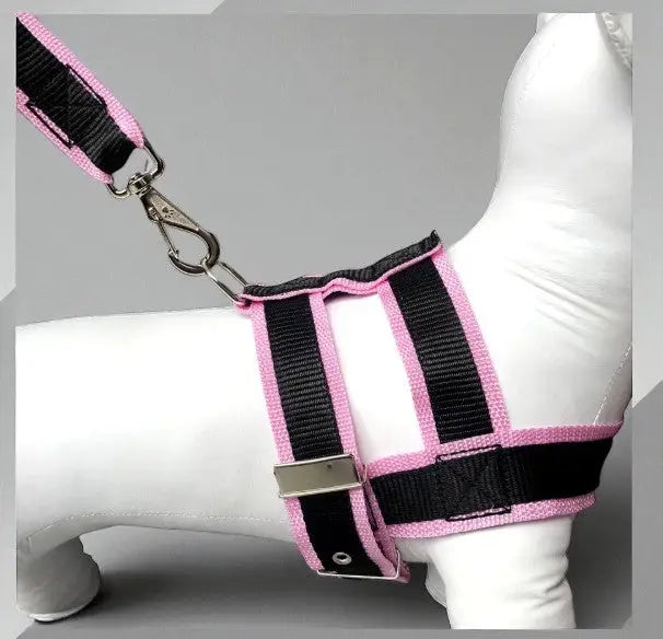 Conjunto Peitoral com Guia de Nylon Duplo Resistente para Cães Grandes | Caprioli Shop Acessórios Pets Rosa / 5