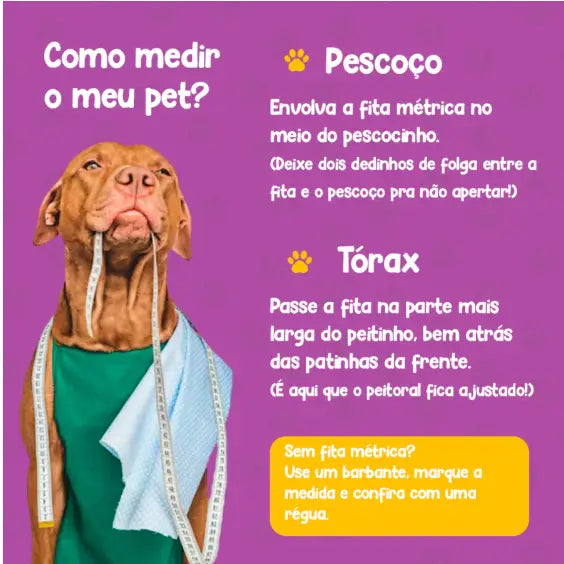 Conjunto Peitoral com Guia de Nylon Duplo Resistente para Cães Grandes | Caprioli Shop Acessórios Pets