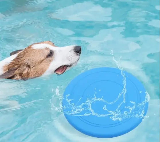 Frisbee para Cães - Diversão ao Ar Livre | Caprioli Shop - brinquedo para cães