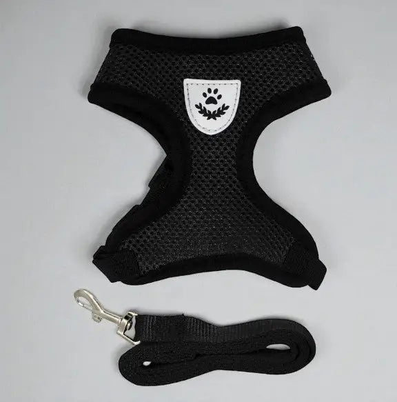 Guia Coleira Peitoral Ajustável com Colete Flexível para Cães e Gatos | Caprioli Shop Acessórios Pets Preto / P (1,5