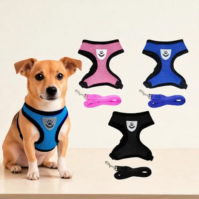 Guia Coleira Peitoral Ajustável com Colete Flexível para Cães e Gatos | Caprioli Shop Acessórios Pets