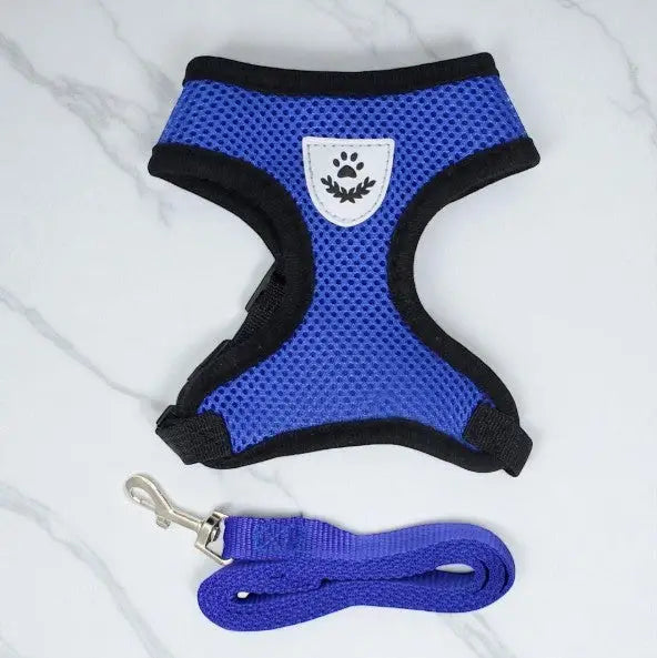 Guia Coleira Peitoral Ajustável com Colete Flexível para Cães e Gatos | Caprioli Shop Acessórios Pets Azul / P (1,5 2,5