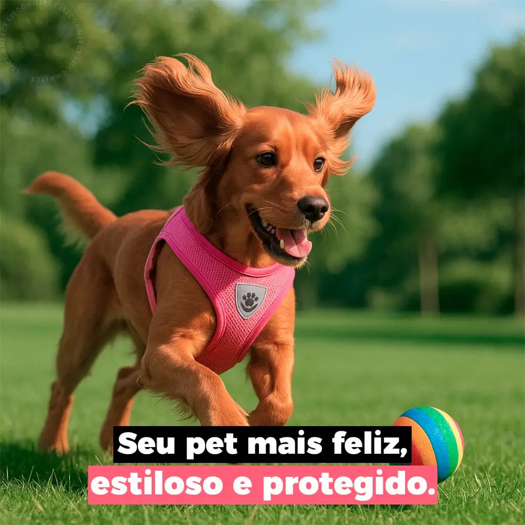 Guia Coleira Peitoral Ajustável com Colete Flexível para Cães e Gatos | Caprioli Shop Acessórios Pets