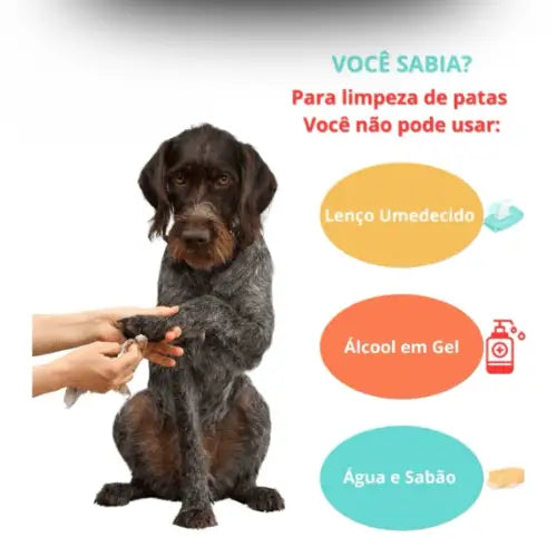 Limpa Patas Spray Higiênizador 120ml Praticidade e Segurança | Caprioli Shop higiene limpeza para cachorro