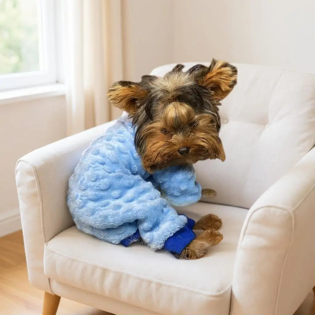 Macacão Inverno Pipoquinha Quente e Estiloso | Caprioli Shop Acessórios para Pets Azul / 1