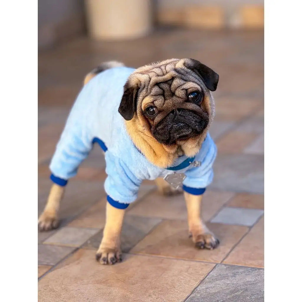 Macacão Inverno Pipoquinha Quente e Estiloso | Caprioli Shop Acessórios para Pets