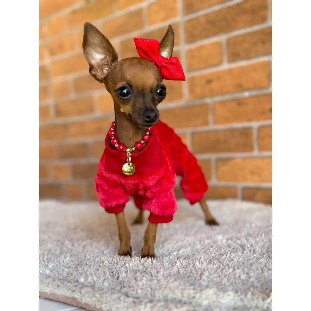 Macacão Inverno Pipoquinha Quente e Estiloso | Caprioli Shop Acessórios para Pets