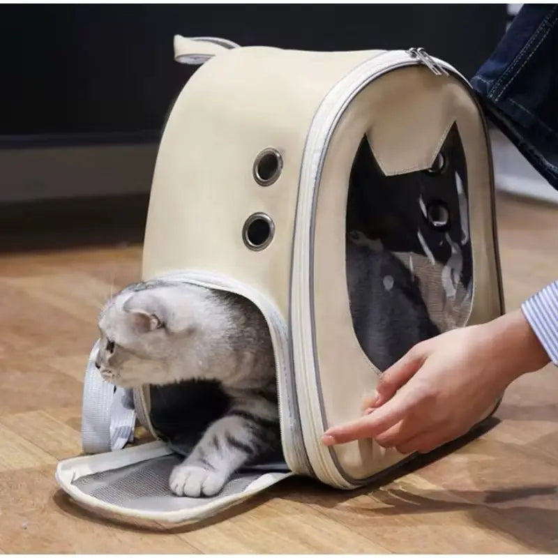 Mochila Transporte para Gato Vista Panorâmica - Conforto e Estilo | Caprioli Shop - transporte para gatos