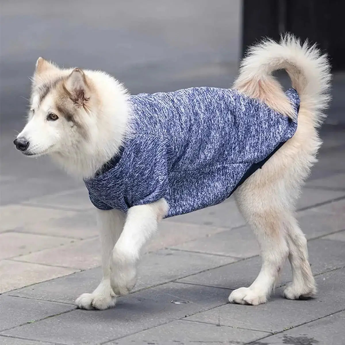 Moletom Elegante para Cães Médios e Grandes | Caprioli Shop Acessórios Pets Navy blue / 3XL