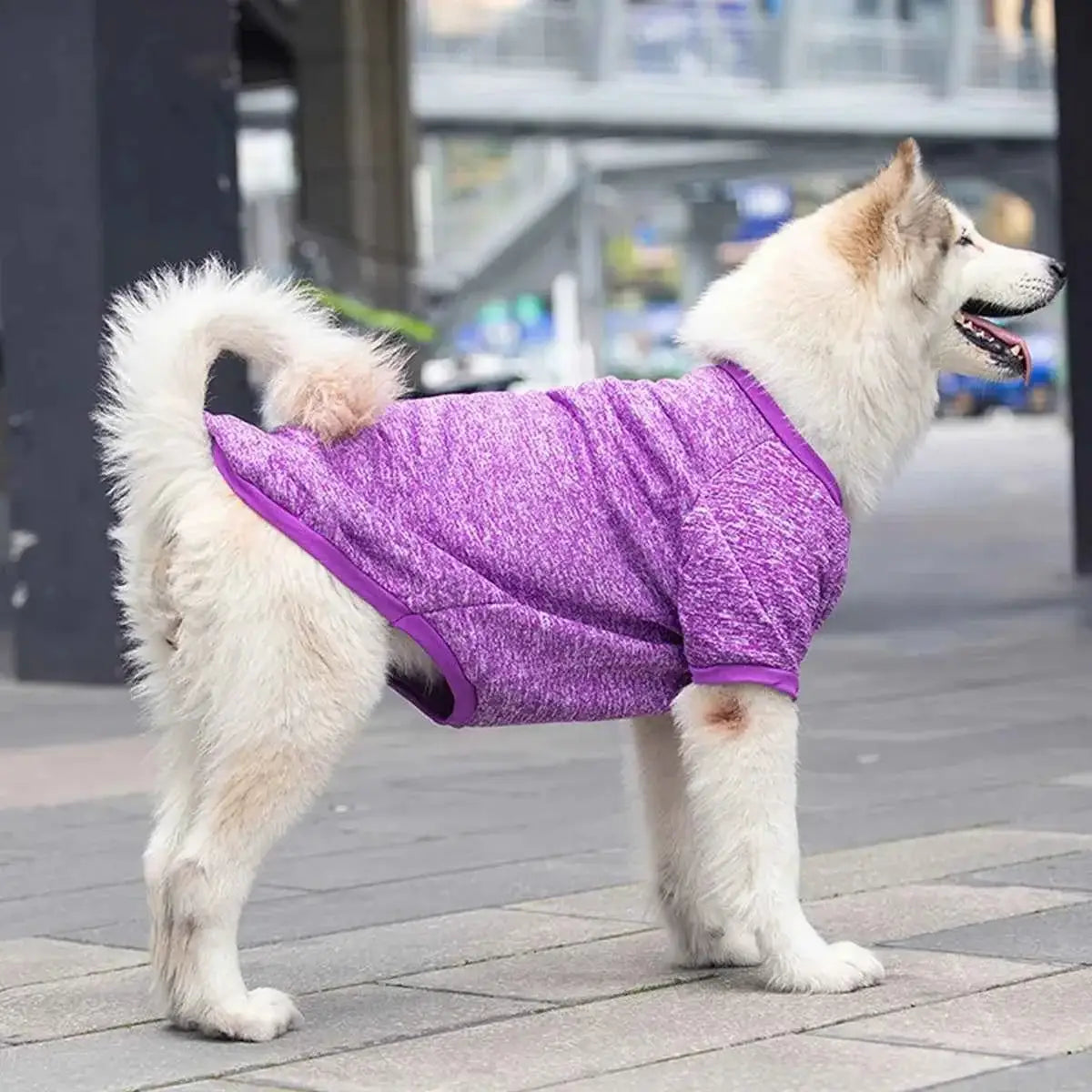 Moletom Elegante para Cães Médios e Grandes | Caprioli Shop Acessórios Pets Purple / 6XL
