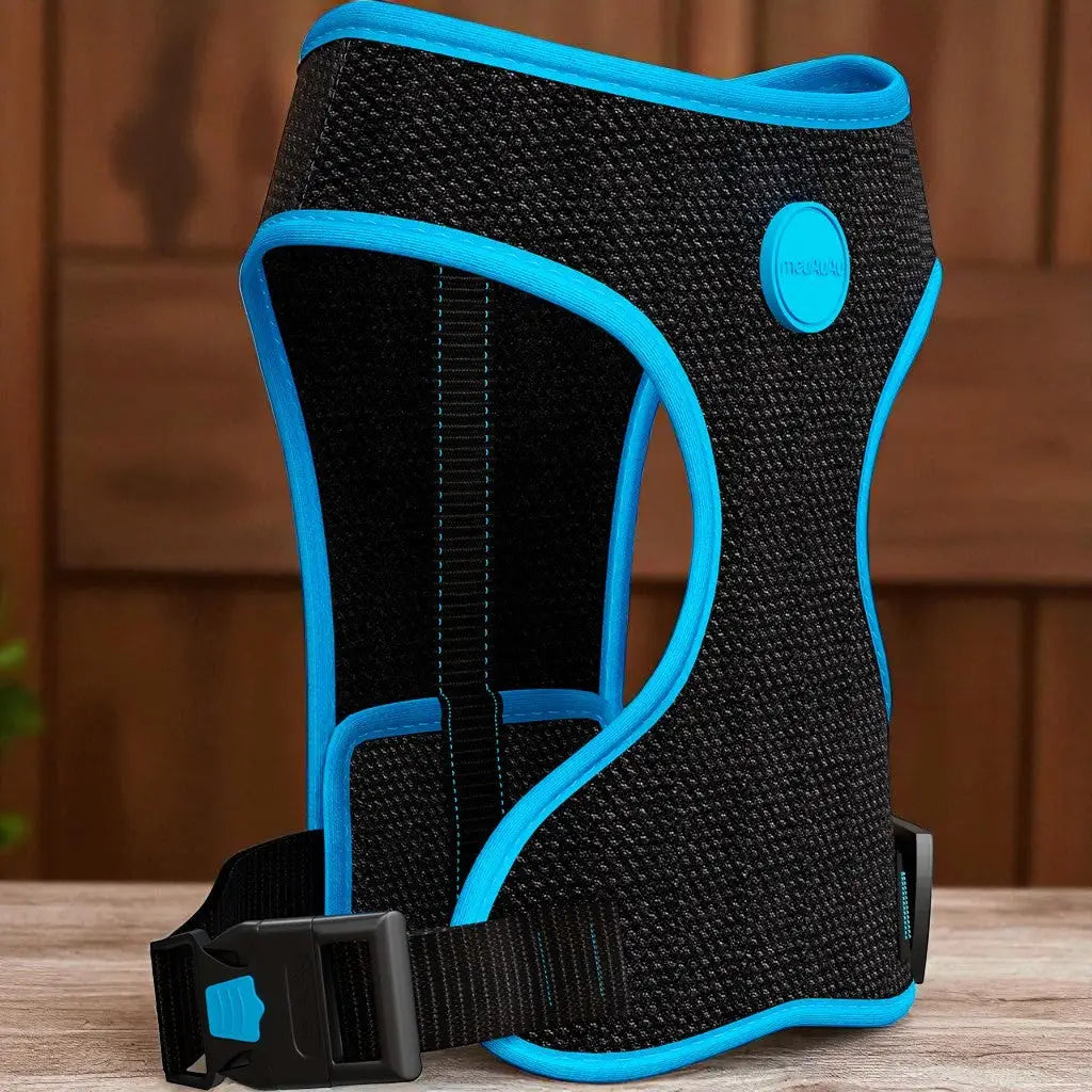 Peitoral para Cachorro Estampado Regulável com Guia Grátis | Caprioli Shop Coleiras Guias e Peitorais neon azul / PP