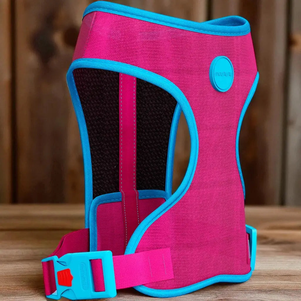 Peitoral para Cachorro Estampado Regulável com Guia Grátis | Caprioli Shop Coleiras Guias e Peitorais new pink / PP