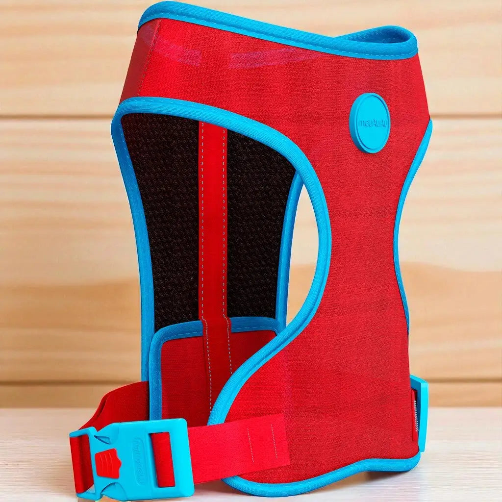 Peitoral para Cachorro Estampado Regulável com Guia Grátis | Caprioli Shop Coleiras Guias e Peitorais new red / PP