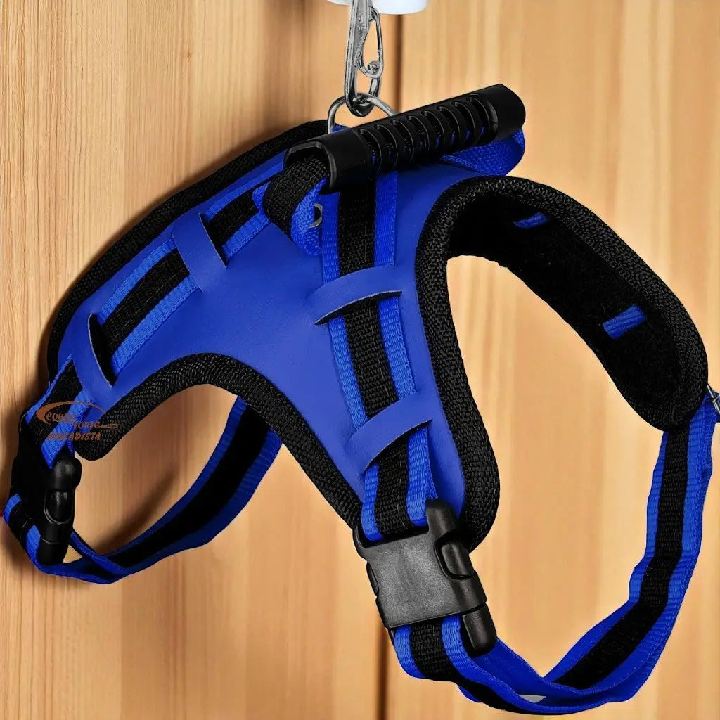 Peitoral com Guia Ajustável para Cães Médios e Grandes | Caprioli Shop Acessórios de Passeio Cão Azul / P