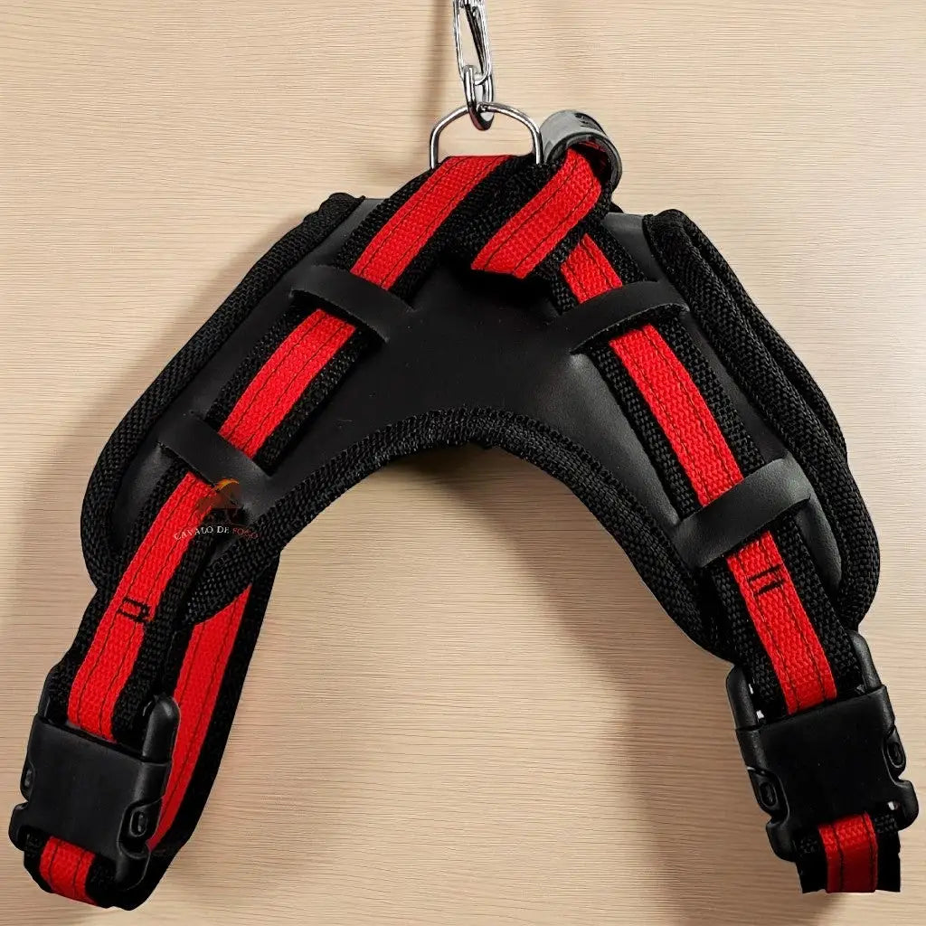 Peitoral com Guia Ajustável para Cães Médios e Grandes | Caprioli Shop Acessórios de Passeio Cão