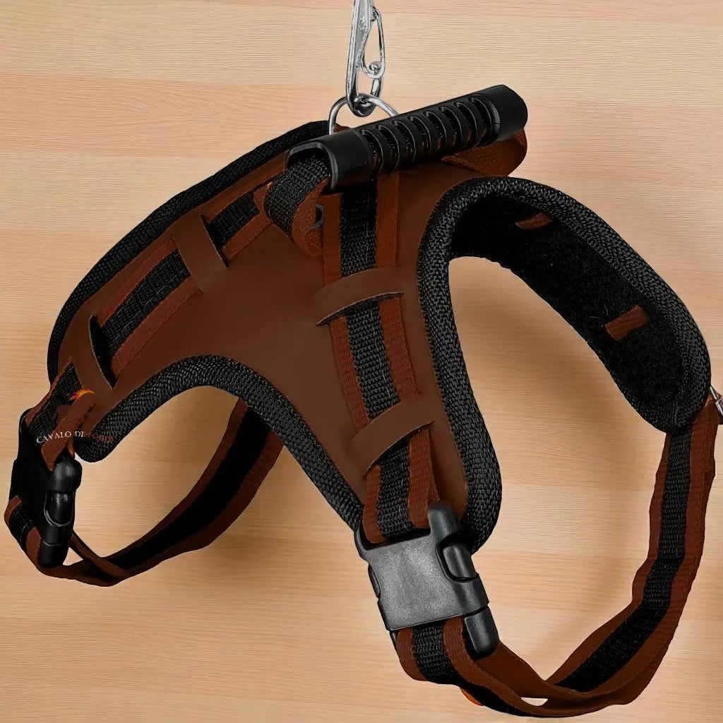 Peitoral com Guia Ajustável para Cães Médios e Grandes | Caprioli Shop Acessórios de Passeio Cão