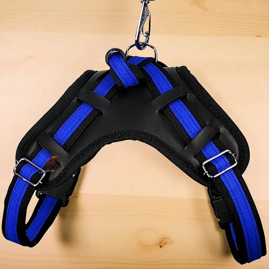 Peitoral com Guia Ajustável para Cães Médios e Grandes | Caprioli Shop Acessórios de Passeio Cão Peto Azul / P