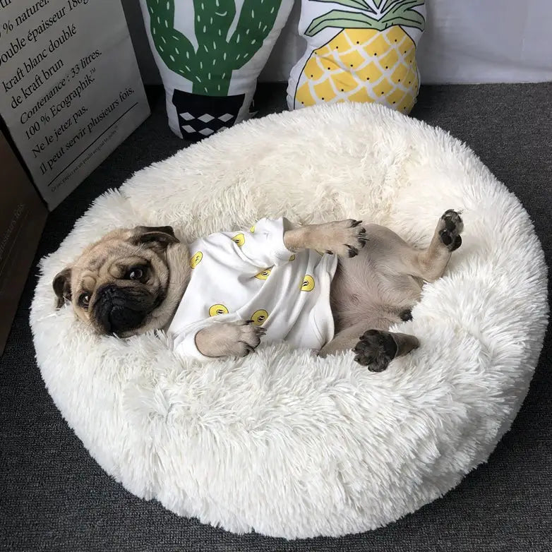 Puff Pet Pelúcia Macio e Quente com Design Bonito – Leve Portátil Fácil de Limpar | Caprioli Inter Caminha casinha
