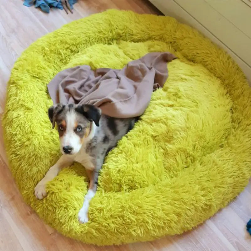 Puff Pet Pelúcia Macio e Quente com Design Bonito – Leve Portátil Fácil de Limpar | Caprioli Inter Caminha casinha
