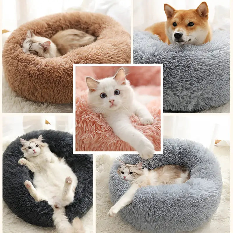 Puff Pet Pelúcia Macio e Quente com Design Bonito – Leve Portátil Fácil de Limpar | Caprioli Inter Caminha casinha
