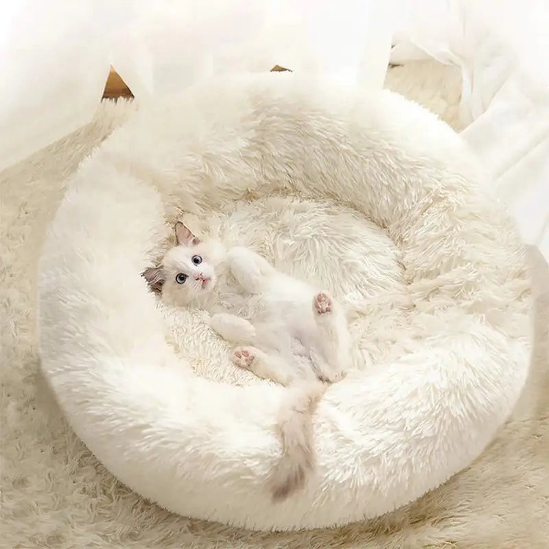 Puff Pet Pelúcia Macio e Quente com Design Bonito – Leve Portátil Fácil de Limpar | Caprioli Inter Caminha casinha