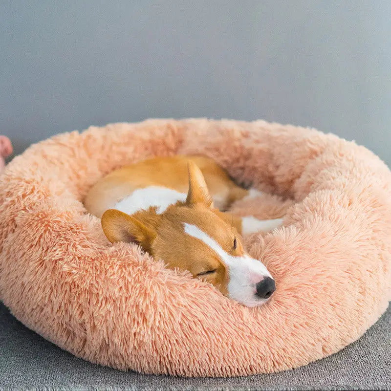 Puff Pet Pelúcia Macio e Quente com Design Bonito – Leve Portátil Fácil de Limpar | Caprioli Inter Caminha casinha