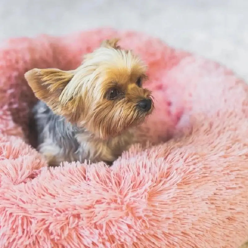 Puff Pet Pelúcia Macio e Quente com Design Bonito – Leve Portátil Fácil de Limpar | Caprioli Inter Caminha casinha