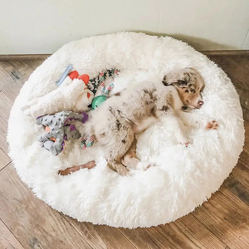 Puff Pet Pelúcia Macio e Quente com Design Bonito – Leve Portátil Fácil de Limpar | Caprioli Inter Caminha casinha