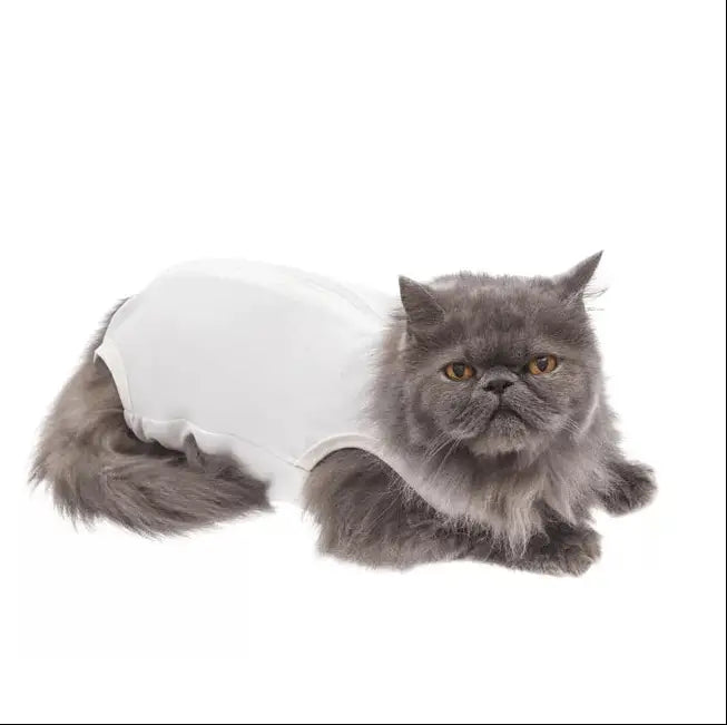 Roupa Cirúrgica Unissex para Gatos - Conforto Premium | Caprioli Shop - roupas e acessórios para gatos