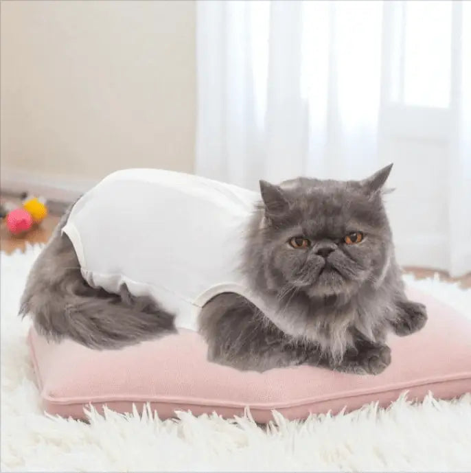 Roupa Cirúrgica Unissex para Gatos - Conforto Premium | Caprioli Shop - roupas e acessórios para gatos