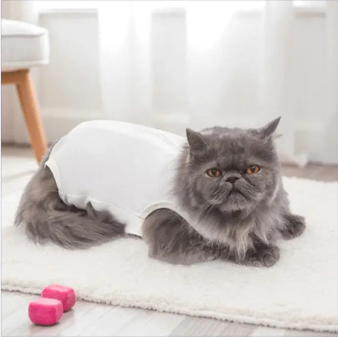 Roupa Cirúrgica Unissex para Gatos - Conforto Premium | Caprioli Shop - roupas e acessórios para gatos