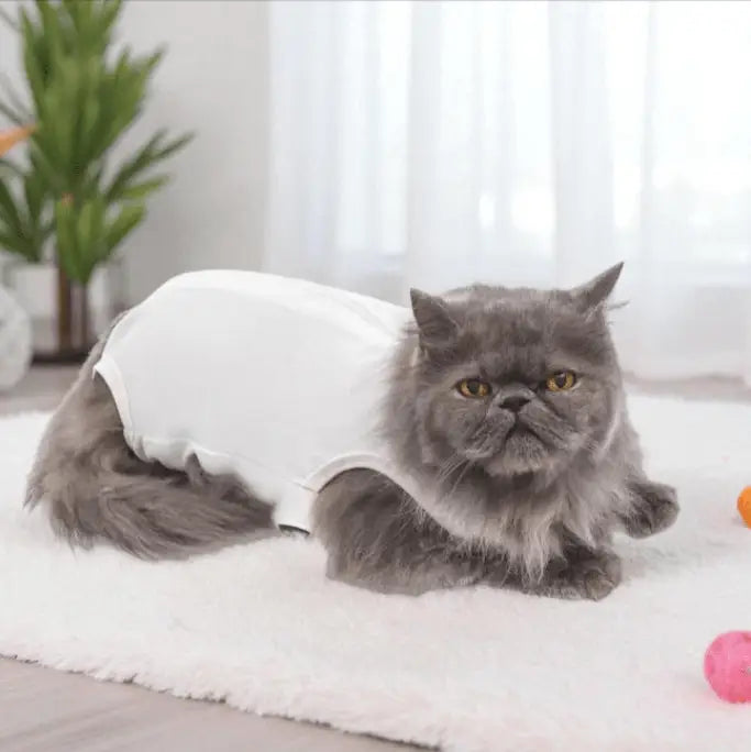 Roupa Cirúrgica Unissex para Gatos - Conforto Premium | Caprioli Shop - roupas e acessórios para gatos