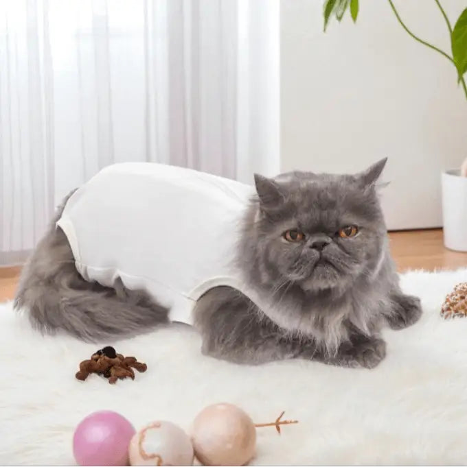 Roupa Cirúrgica Unissex para Gatos - Conforto Premium | Caprioli Shop - roupas e acessórios para gatos