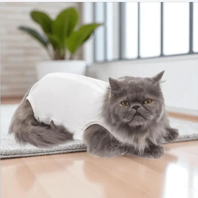 Roupa Cirúrgica Unissex para Gatos - Conforto Premium | Caprioli Shop - N°1 - roupas e acessórios para gatos