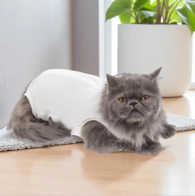 Roupa Cirúrgica Unissex para Gatos - Conforto Premium | Caprioli Shop - N°2 - roupas e acessórios para gatos