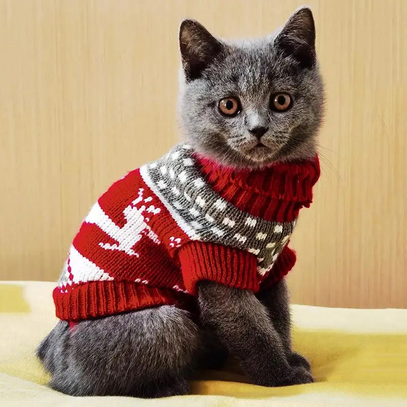 Roupa de Inverno Quente para Gatos - Estilo e Conforto | Caprioli Shon - roupas e acessórios para gatos