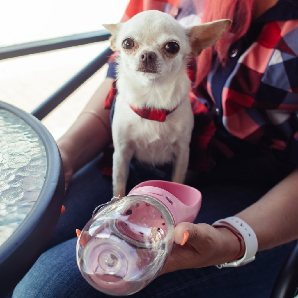 Garrafa Portátil Automática para Pets 300ml | Caprioli