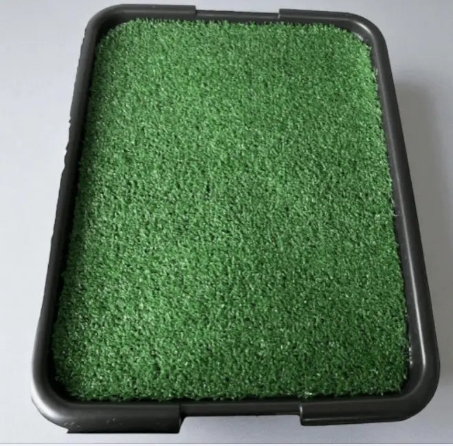 Tapete Higiênico Pet com Grama Sintética Conforto e Praticidade | Caprioli Shop