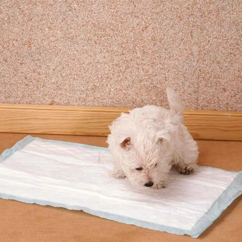 Tapete Higiênico Super Absorvente 80x60cm Conforto e Praticidade | Caprioli Inter tapete higiênico para cachorro