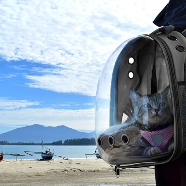 Mochila Pet Para Transporte Visão Panorâmica em acrilico