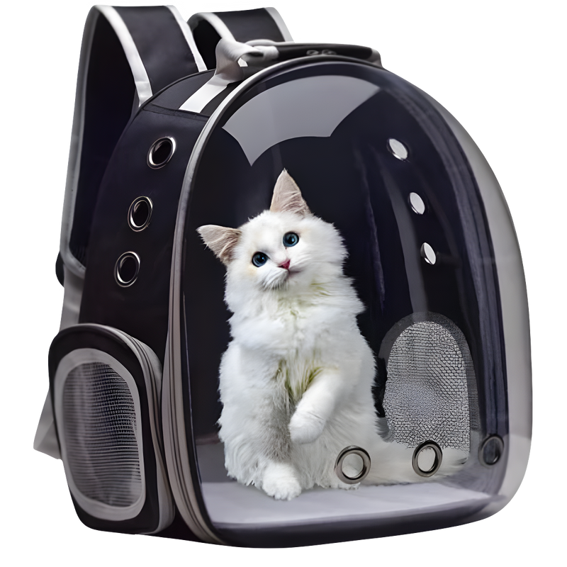 Mochila Pet Para Transporte Visão Panorâmica em acrilico